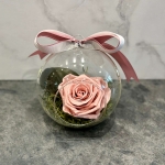 Dusty pink preserved rose in a glass dome