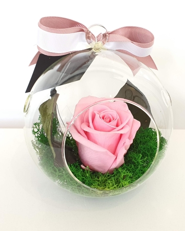 Pink preserved rose in a glass dome