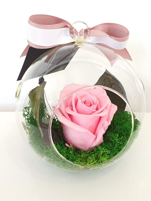 Pink preserved rose in a glass dome
