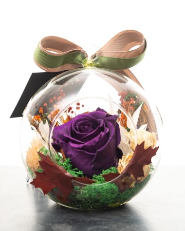 Purple preserved rose in a glass dome