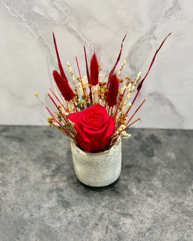 Red preserved rose in a grey ceramic pot