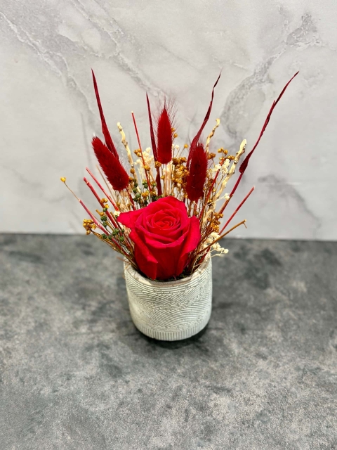 Red preserved rose in a grey ceramic pot