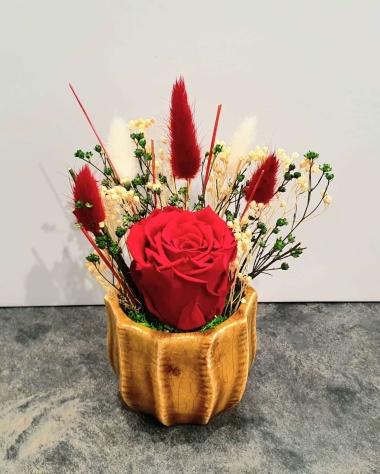 Red preserved rose in mustard colour ceramic pot