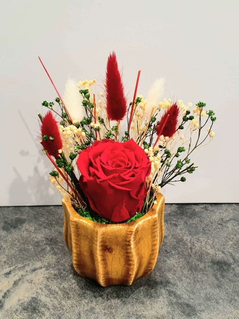 Red preserved rose in mustard colour ceramic pot