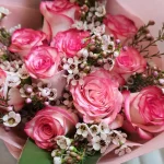 Bouquet of pink roses