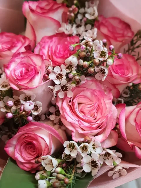 Bouquet of pink roses