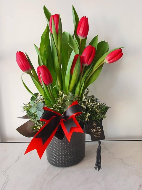 Red tulips in a black ceramic pot