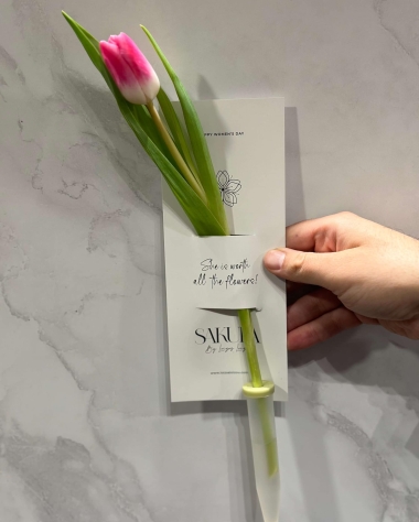 HER'S_1 - SINGLE TULIP WITH PACKAGING - 5 EUROS
