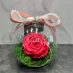 HER'S_21 - FUCHSIA PRESERVED ROSE IN A GLASS DOME - 40 EUROS