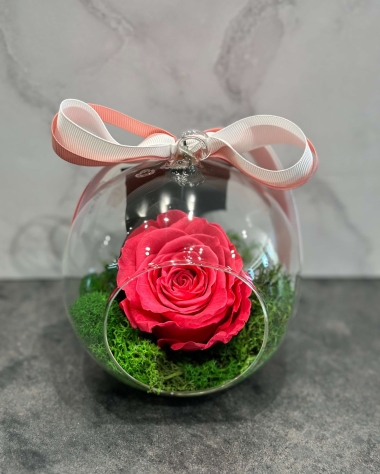 HER'S_21 - FUCHSIA PRESERVED ROSE IN A GLASS DOME - 40 EUROS