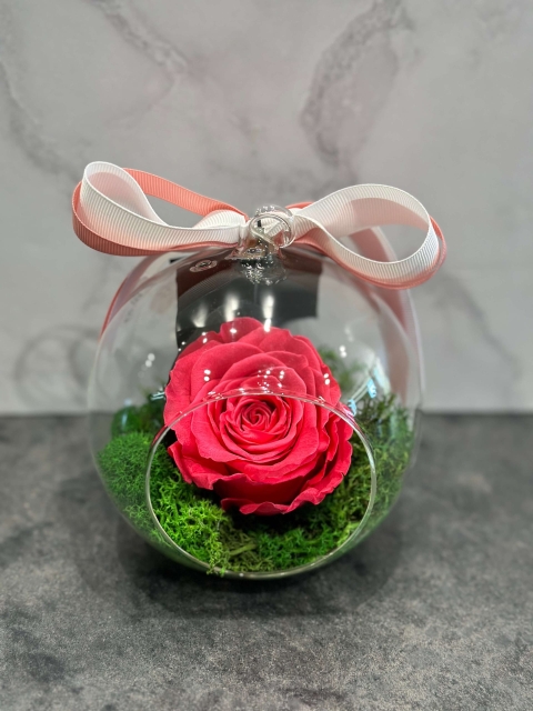 HER'S_21 - FUCHSIA PRESERVED ROSE IN A GLASS DOME - 40 EUROS