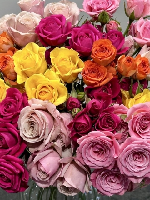 SPRAY ROSES - MINI ROSES